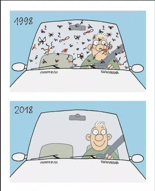 windshield meme, From InText